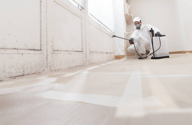 24/7 Emergency Commercial Mold Remediation experts in Kintnersville, PA