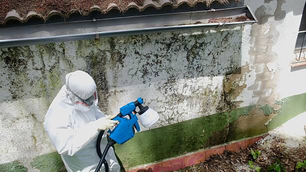 Top rated local Commercial Mold Remediation specialists in Kintnersville, PA